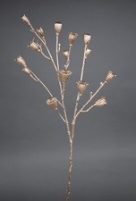 Mohnkapselzweig 68cm gold - , ga
