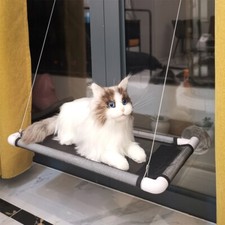 Premium Fensterplatz Katzen