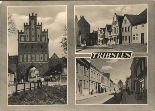 Tribsees - ,