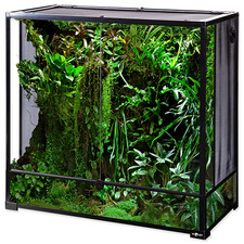 ReptiPlanet Collapsible