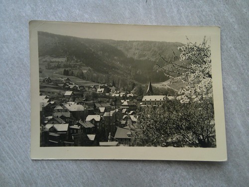 Steinbach wald totale - ak,