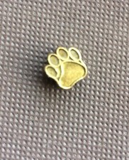 Bead Pfote Hund Katze