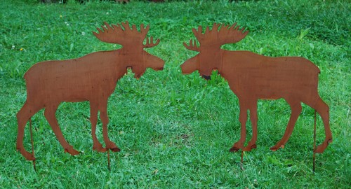 Elch moose edelrost metall - "moose",