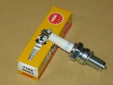 Zündkerze ngk für sym husky - zündkerze,