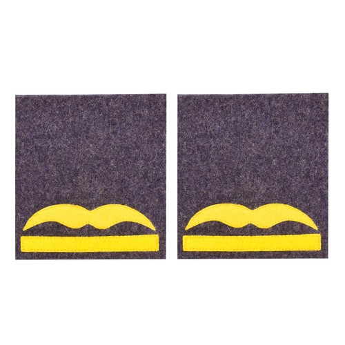 Luftwaffe dienstgradabzeichen - luftwaffe,