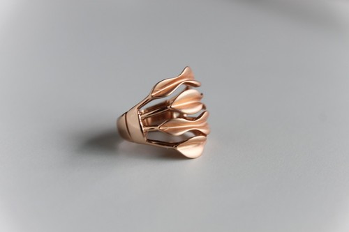 Exklusiver ring modeschmuck - exklusiver,