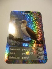 Netto "Ozeanien 2 Wir tauchen