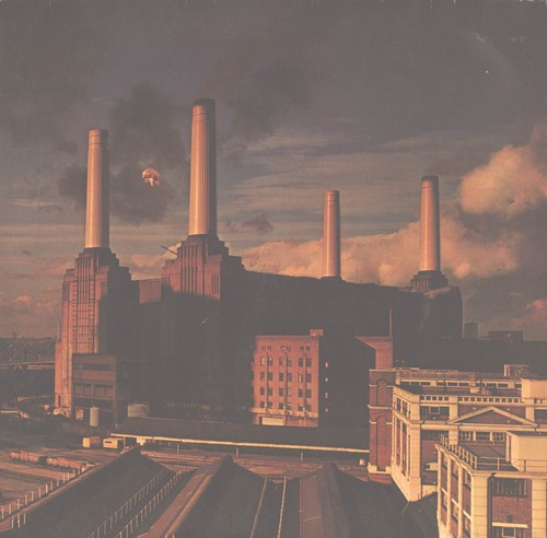 Pink floyd animals vinyl - pink,