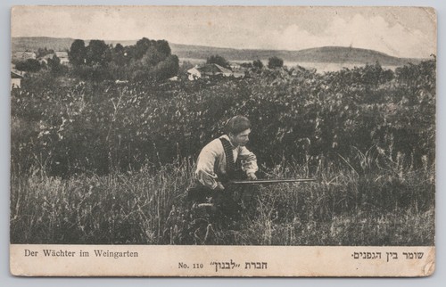 Judaica zionist postkarte - judaica,