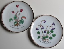 2 Porzellanteller Rosenthal