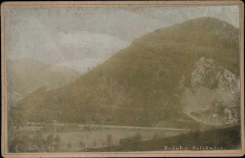 Kabinett foto netzkater ilfeld - kabinett,