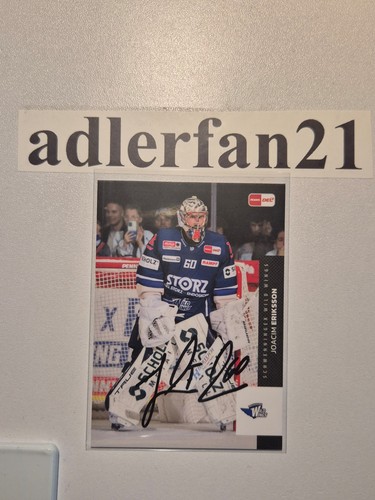 Del 2025 2026 signiert - del,
