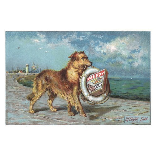 Hund mit rettungsring - hund, vintage