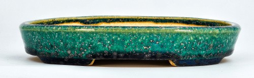 Bonsaischale koyo tokoname - bonsaischale,