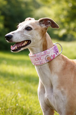 Windhundhalsband,Martingale