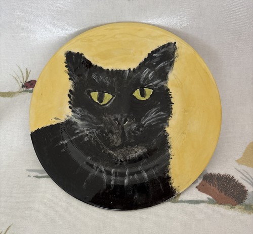 Super süße schwarze - , katze