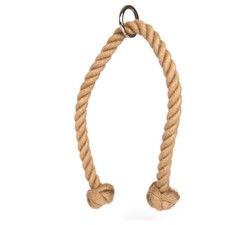 Trizepsseil, Trizepstau