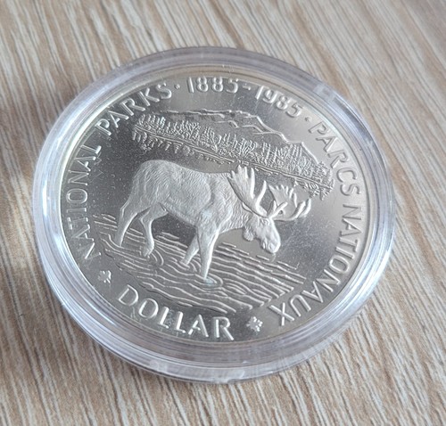 Kanadischer silberdollar 1985 - kanadischer,