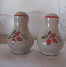 WINTERLING  Pfalzkeramik  Salz und Pfefferstreuer Blumen Handdekoriert