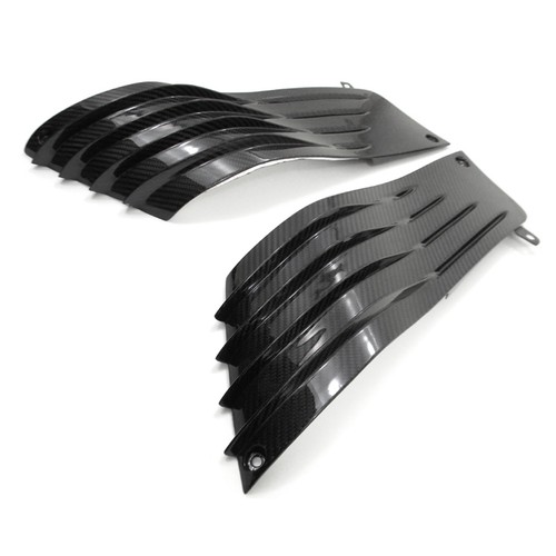 Carbon seitenverkleidung für - carbon,