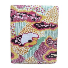 Altes Ansichtskartenalbum leer