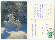 56836 - Eingeschneites