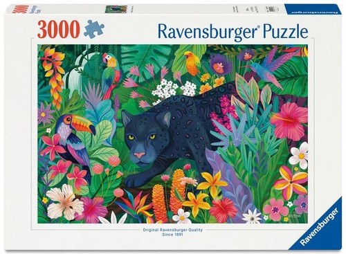 Erwachsenenpuzzle 3000 teile - erwachsenenpuzzle,