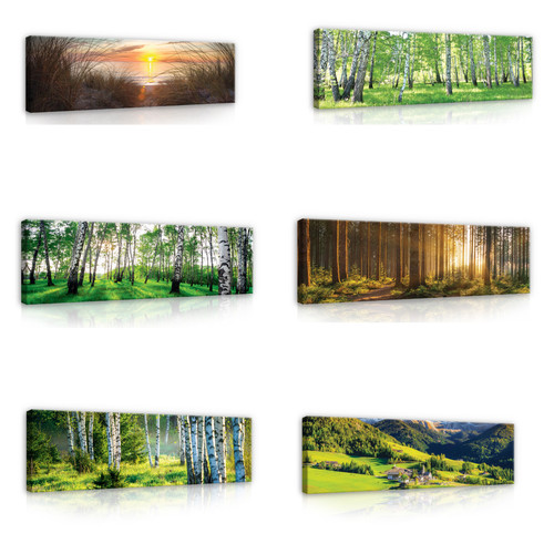 Wald natur landschaft - wald,
