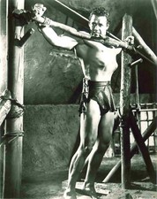 Tarzans Kampf ums Leben