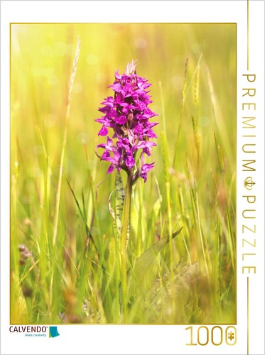 Calvendo puzzle - calvendo,