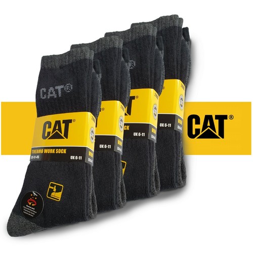 Cat caterpillar - cat,