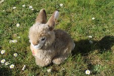 Steiff Dormy Hase, sitzend ,KFS, 25 cm, sehr weich , 2975/25