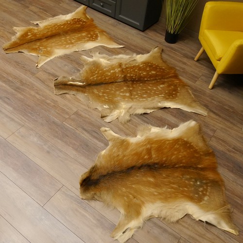 Damhirsch stück felle fell - damhirsch,