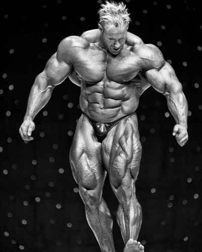 Jay cutler ifbb bodybuilder - cutler,