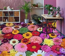 Bunte blume h5895 fußboden - blume,