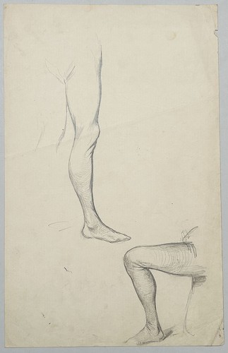 Hermann schneider bein beine - schneider,