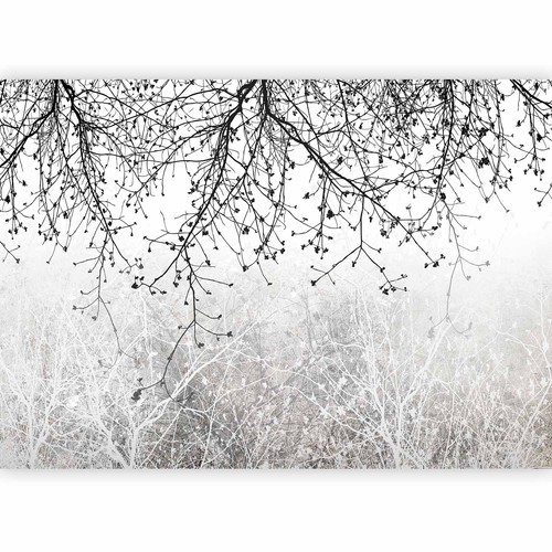 Baum äste natur - baum, vlies