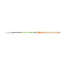 Spin-Rute Berkley Flex Trout