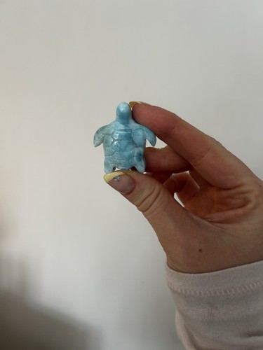 Larimar schildkröte - schildkröte, in