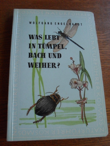 Was lebt tümpel bach und - tümpel,,