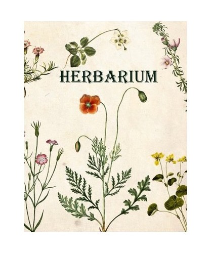 Herbarium von - herbarium:,