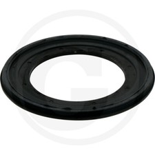 Dichtring Achsschenkel für