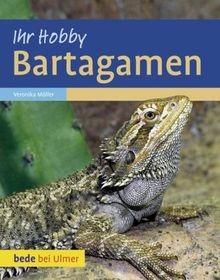 Bartagamen von veronika - von,