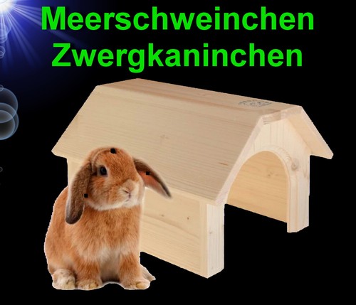 Nager holz - 🐹🐇,