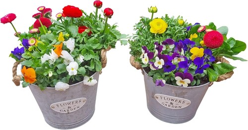 Pflanztopf 2er blumentopf - pflanztopf,