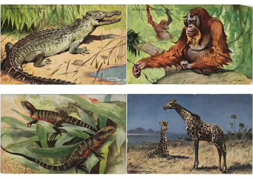 Tiere meist künstler signiert - tiere,