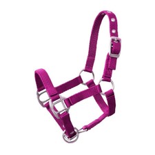 Halfter mini shetty - pony,