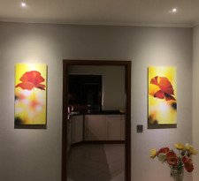 Mohnblumen | Unikat Gemälde Original Acryl | 2 Bilder XXL