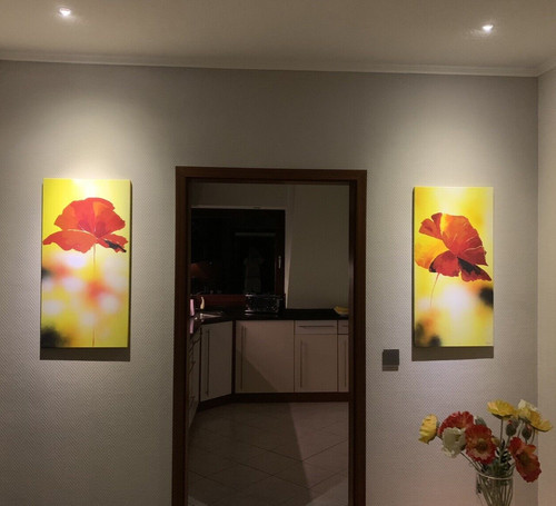 Mohnblumen unikat gemälde - mohnblumen, |