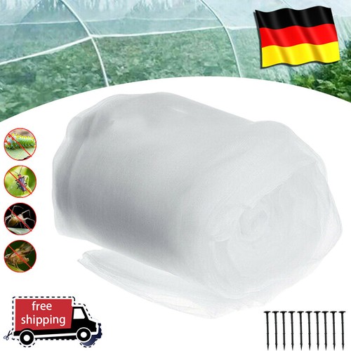 Garten gemüse insekten - gemüse,